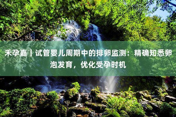 禾孕嘉丨试管婴儿周期中的排卵监测：精确知悉卵泡发育，优化受孕时机