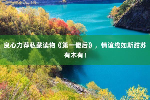 良心力荐私藏读物《第一傻后》，情谊线如斯甜苏有木有！