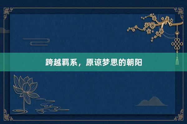 跨越羁系，原谅梦思的朝阳