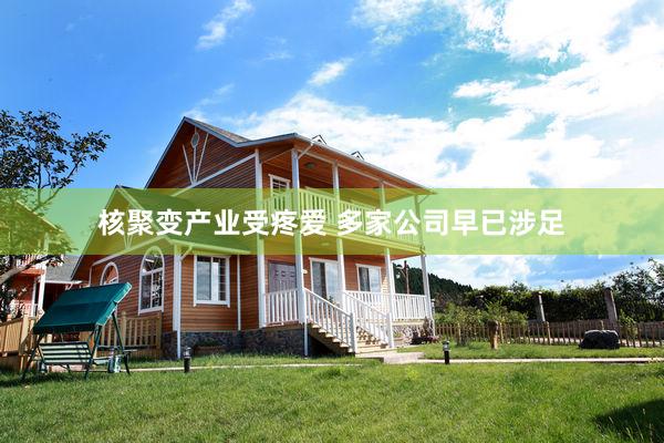 核聚变产业受疼爱 多家公司早已涉足
