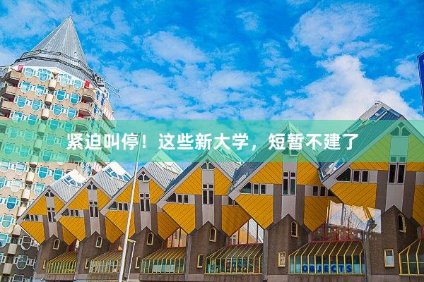 紧迫叫停！这些新大学，短暂不建了